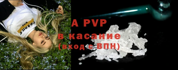 apvp Верея